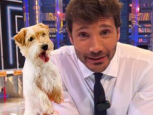 sfondo Stefano De Martino ad Affari Tuoi e Gennarino